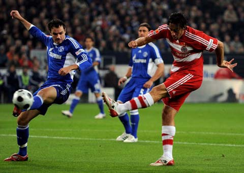 整个国家体 整个国家体